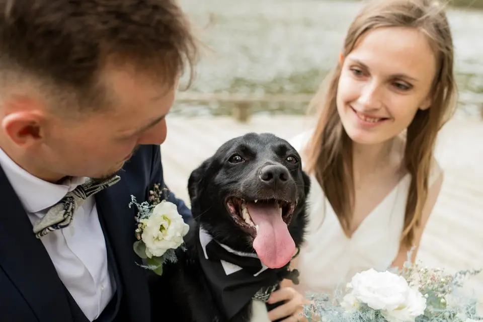 Bénédicte Hoff photographe — photo 1