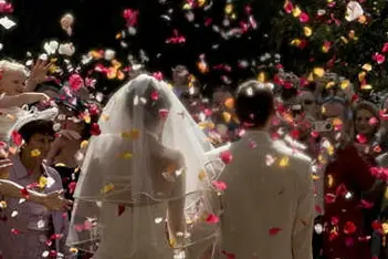 L'Orchidée — photo 2