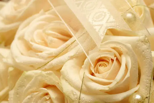 L'Orchidée — photo 5