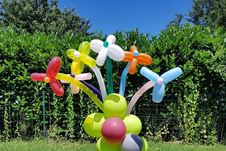 Stefan Clamaron Magicien — photo 8