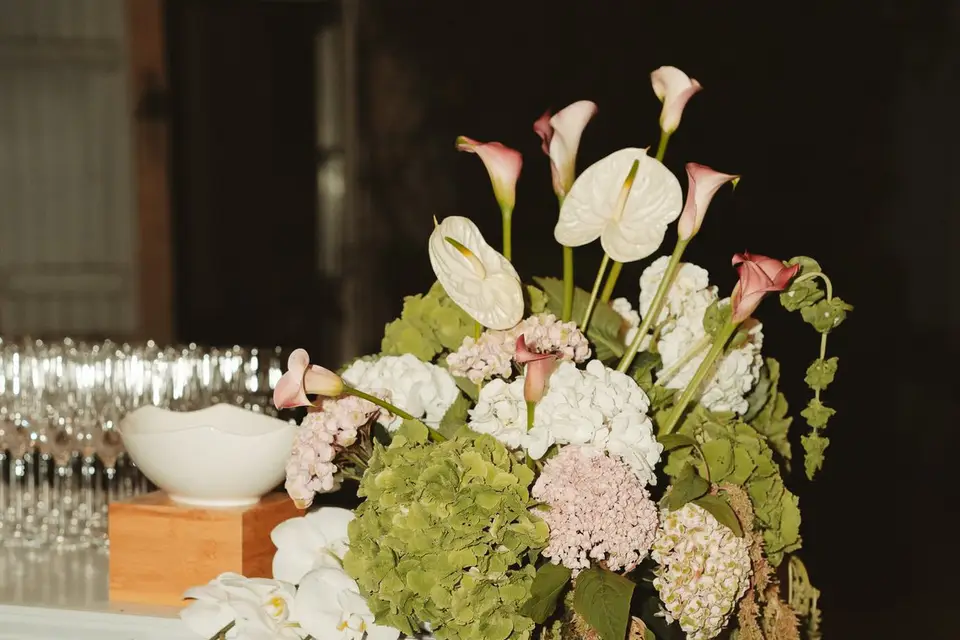 Fleurs d'un Jour — photo 3