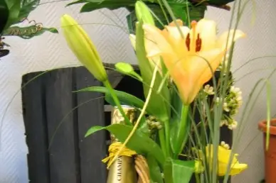 Chrystelle Guérin — photo 8