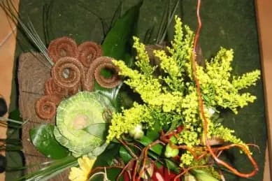 Chrystelle Guérin — photo 4