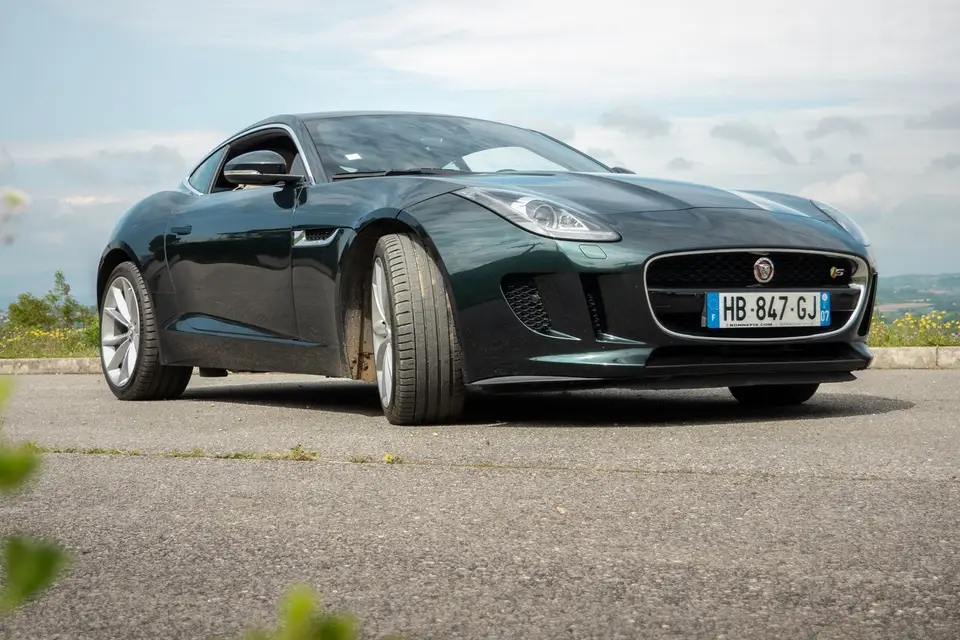 Petit AF — photo 2