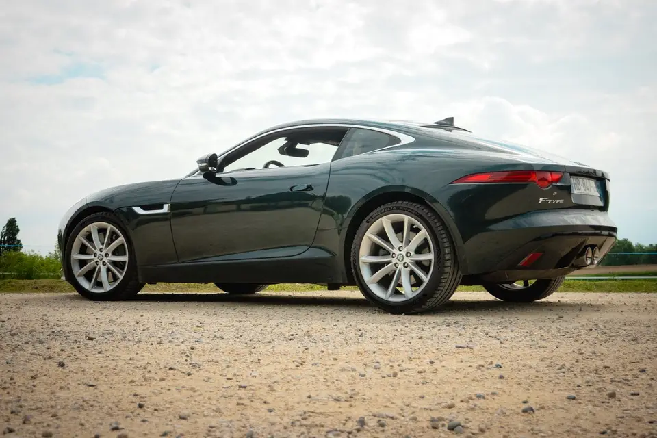 Petit AF — photo 4