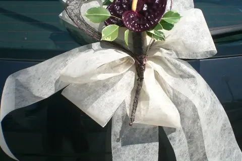 Désirs de Fleurs — photo 6