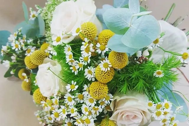 L'ilot senteur — photo 7