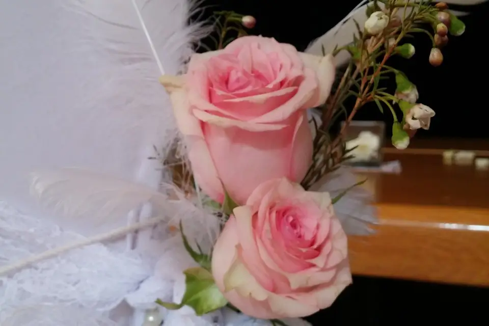 Evènements and fééries — photo 8