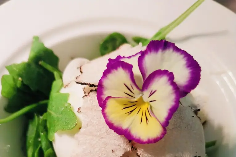 Traiteur en Provence — photo 3