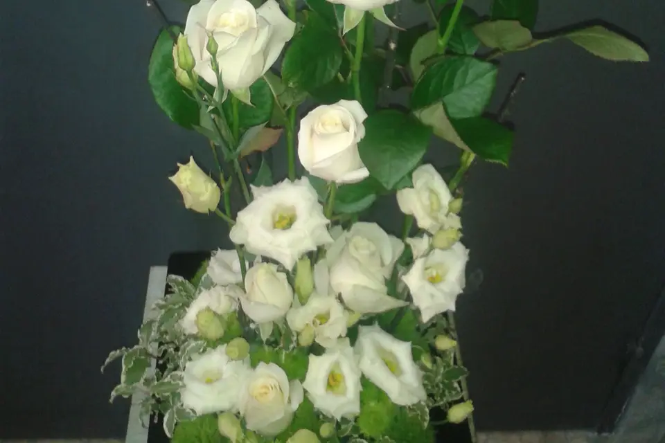 Fleurs Bleues — photo 8