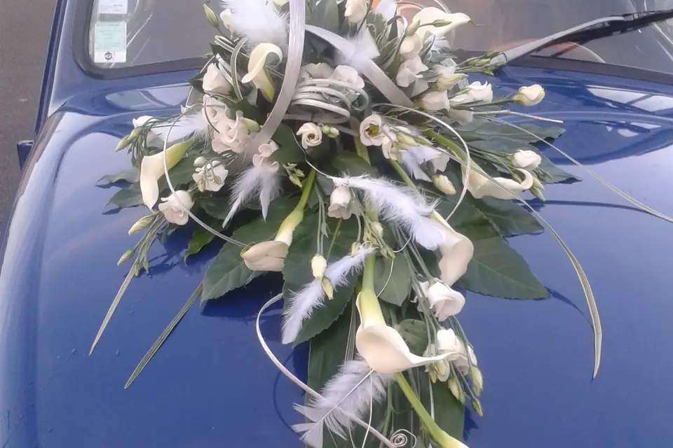 Fleurs Bleues — photo 5