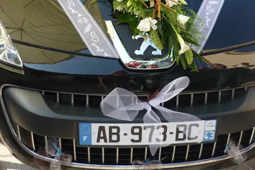 Fleurs Bleues — photo 4