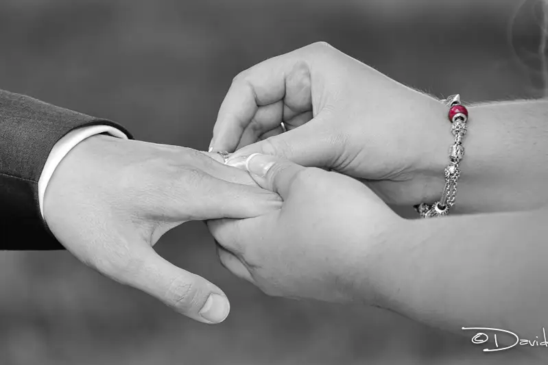 Celebrantissimo — photo 3