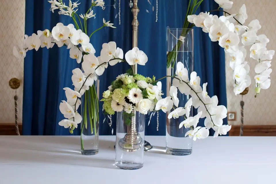 Marc Moreau - Creaflor — photo 6