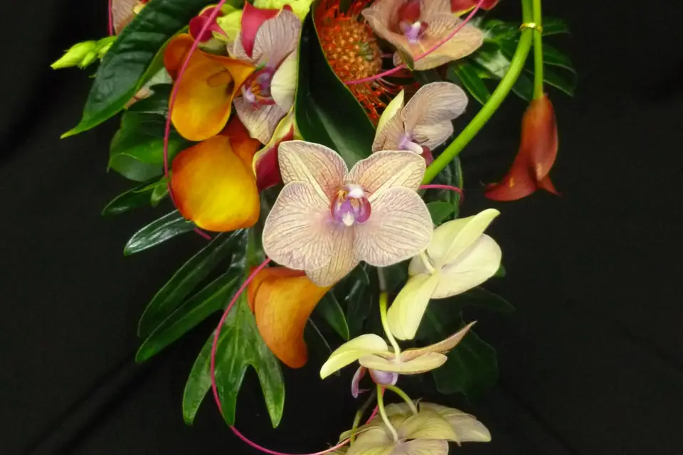 Marc Moreau - Creaflor — photo 7