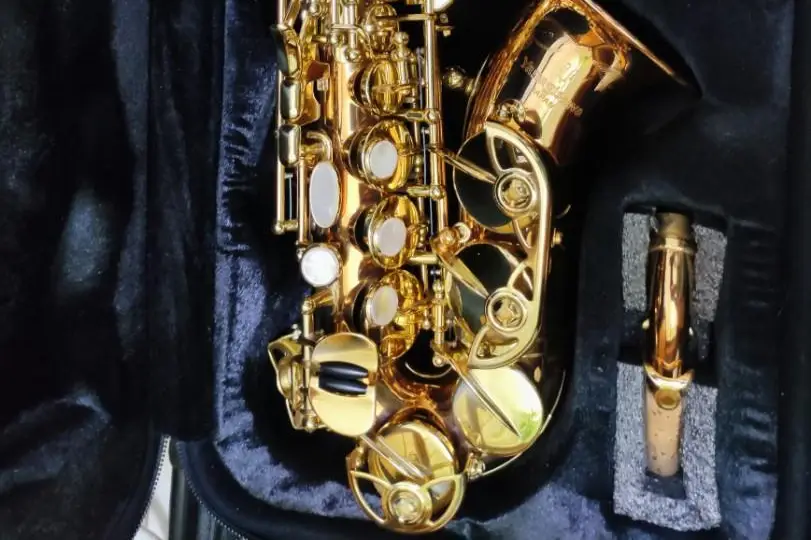 Nicolas Longuet — photo 6