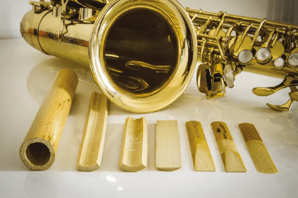 Nicolas Longuet — photo 5