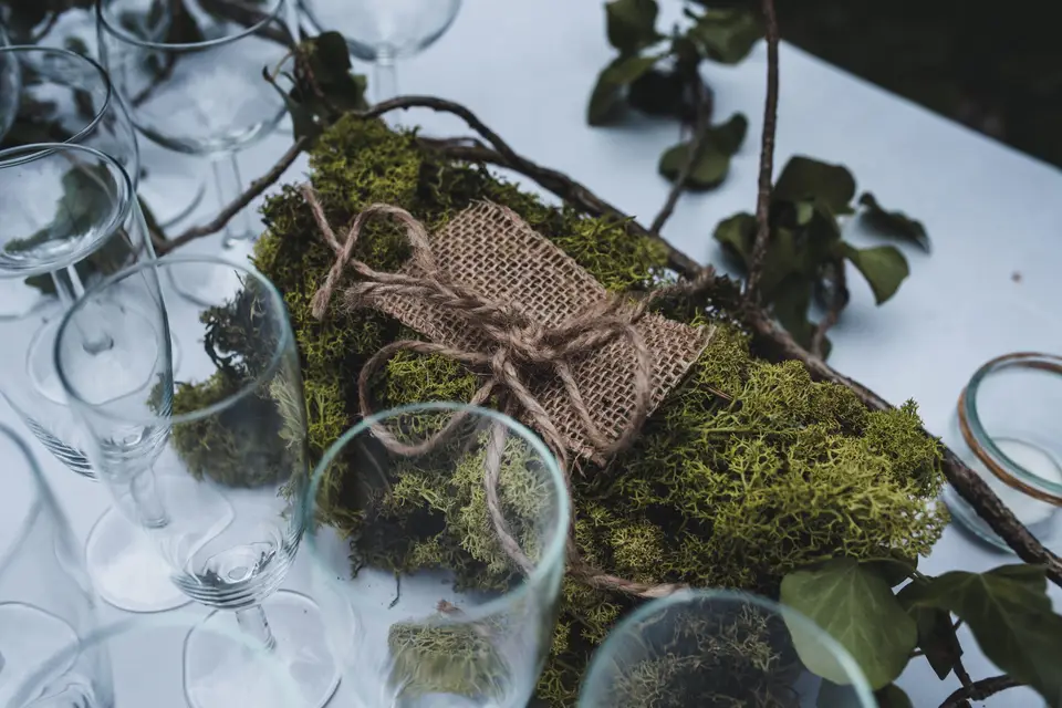 Mettre en Lumière — photo 8