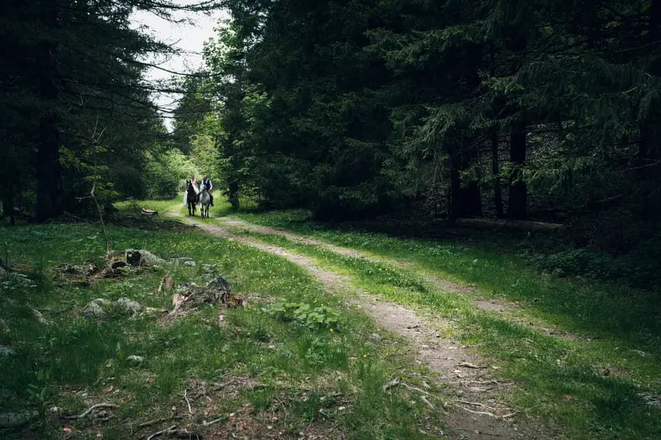 Mettre en Lumière — photo 2