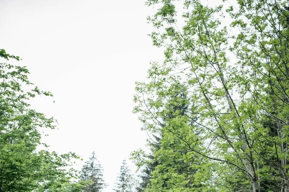 Mettre en Lumière — photo 7