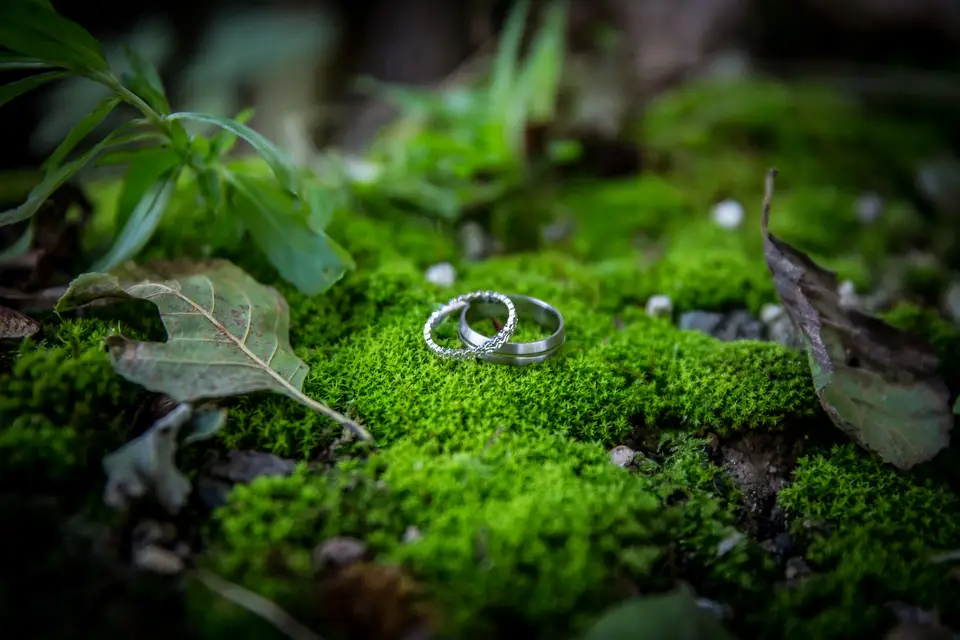 Frederic Fauvel Photographe — photo 4