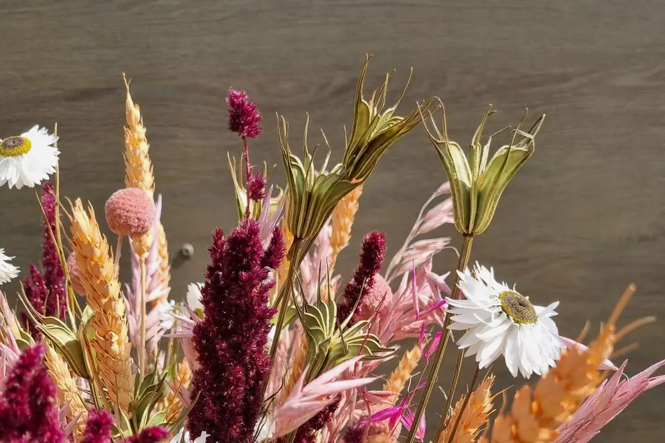 Cérès&Chloris — photo 1