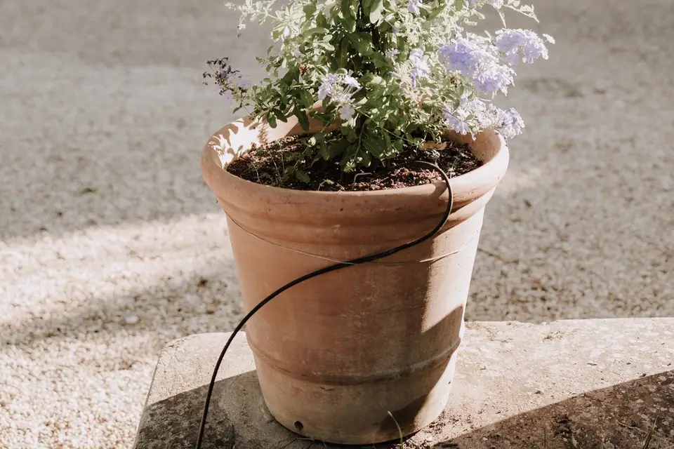 Château de Vilpail — photo 6