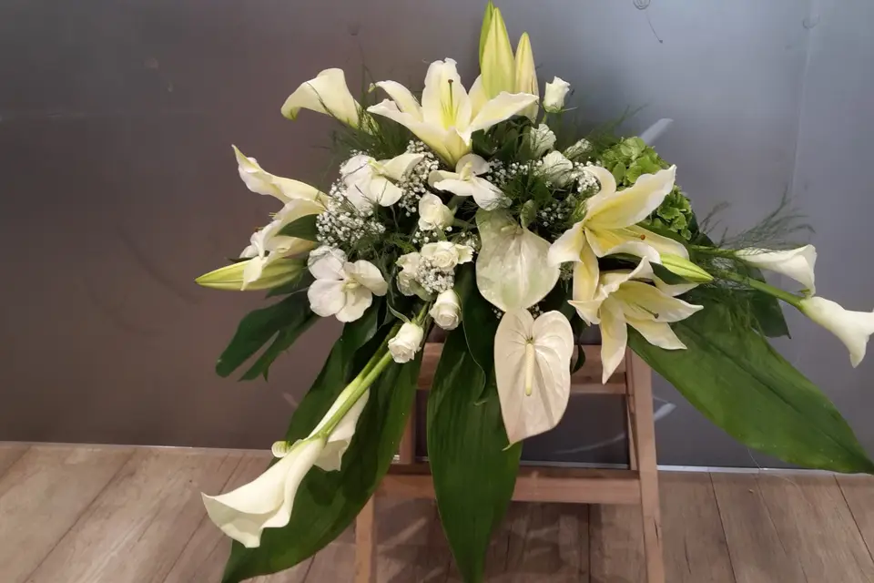 Fleur d'Elixir — photo 7