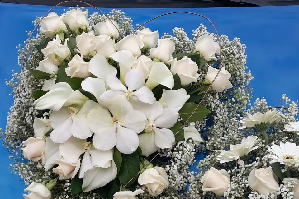 Fleur d'Elixir — photo 6