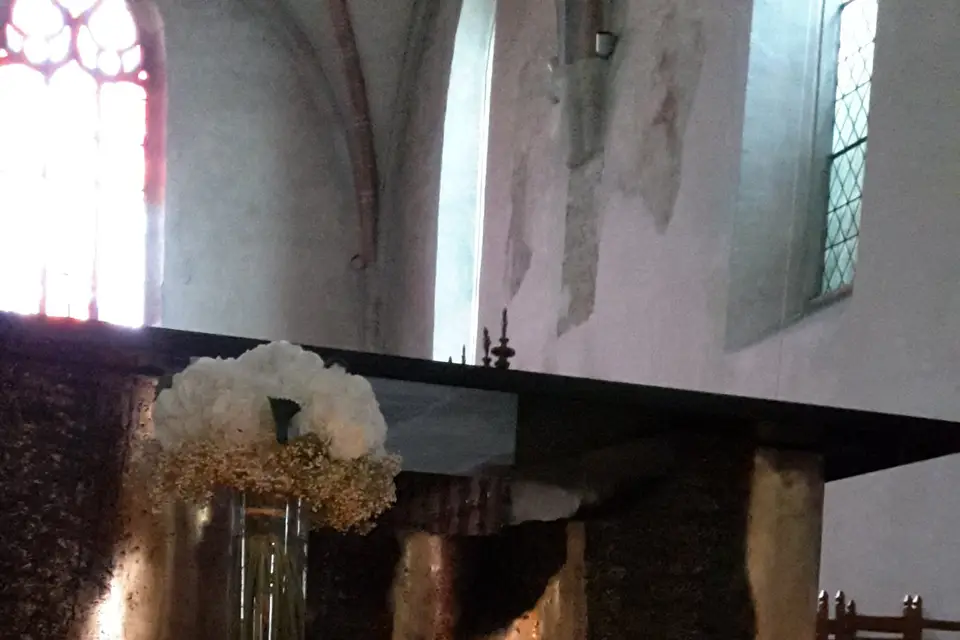 Fleur d'Elixir — photo 3