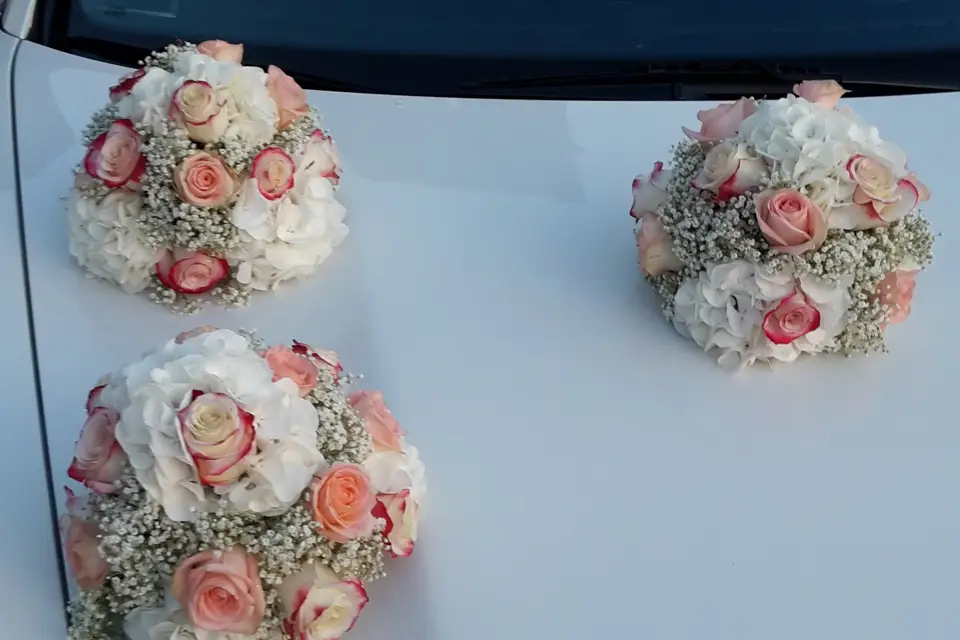 Fleur d'Elixir — photo 2