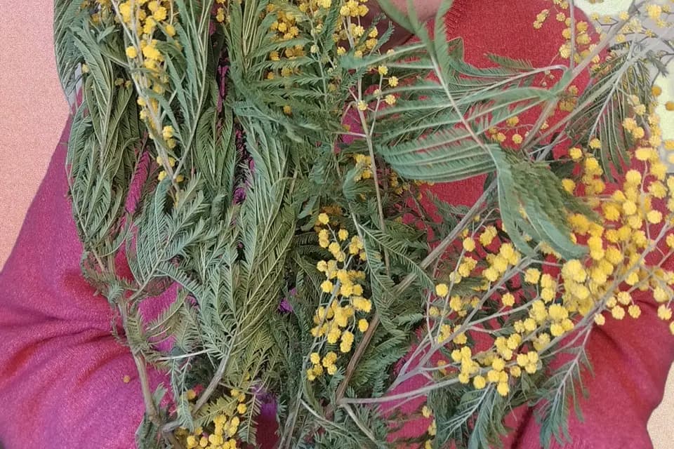 Rose Aux Joues Créations — photo 1