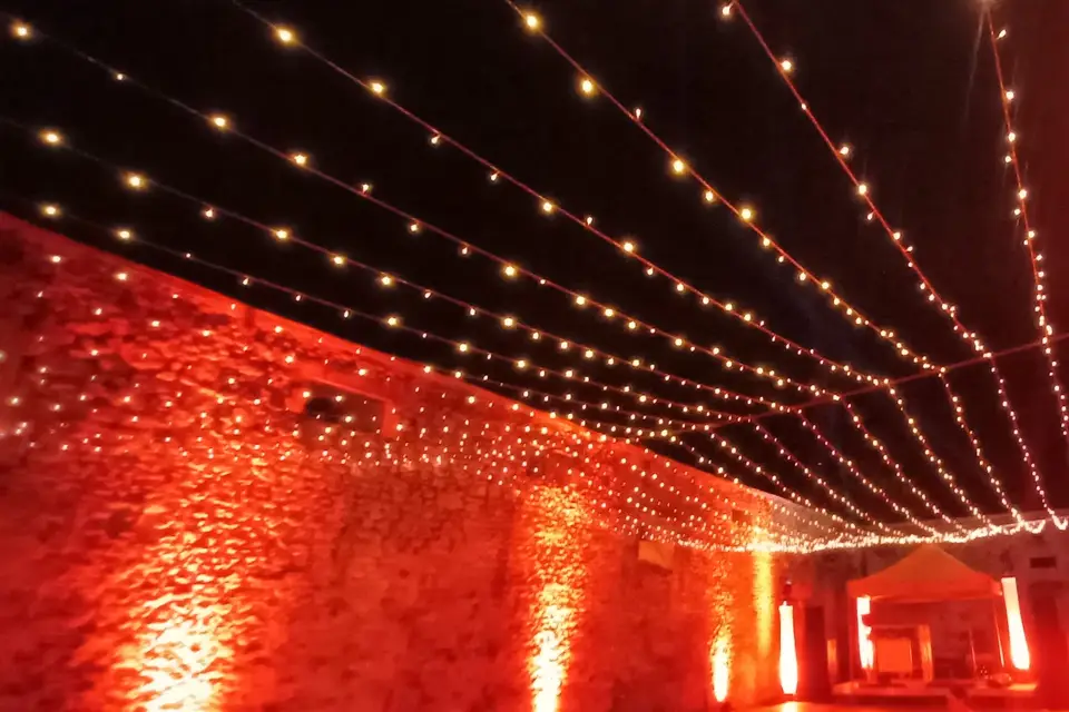 AnimEvents — photo 8