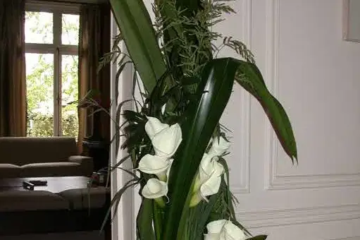 Lambert Bayard — photo 2