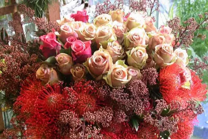 Lambert Bayard — photo 1