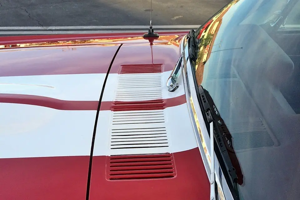 Mustang Mariage — photo 8