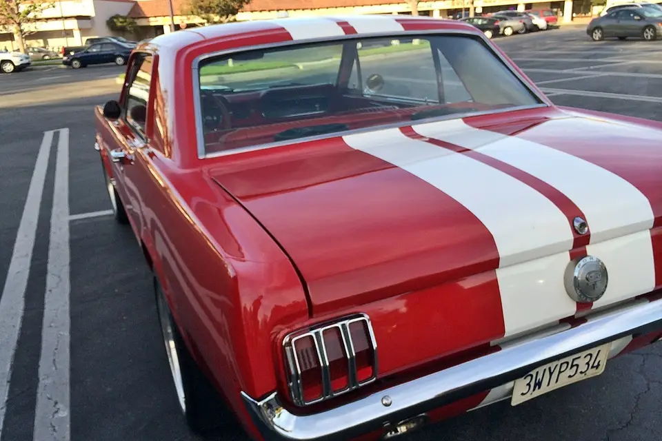 Mustang Mariage — photo 7