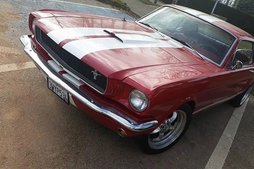 Mustang Mariage — photo 6