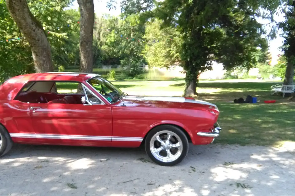 Mustang Mariage — photo 3