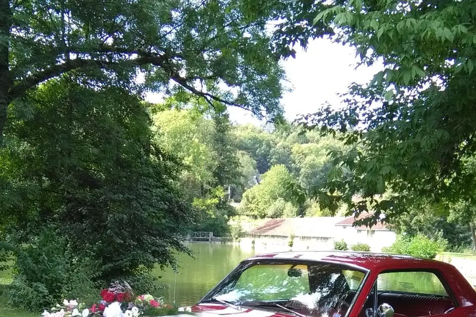 Mustang Mariage — photo 2