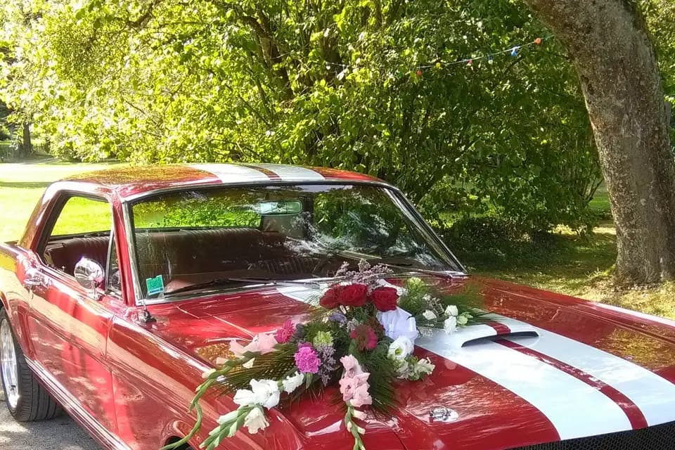 Mustang Mariage — photo 5