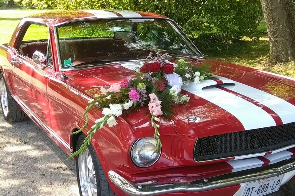 Mustang Mariage — photo 1