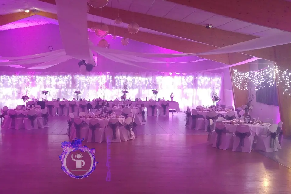 Dav Animation — photo 6