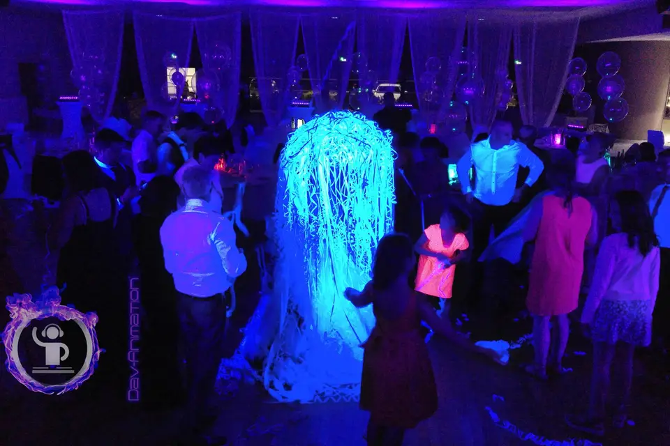 Dav Animation — photo 7