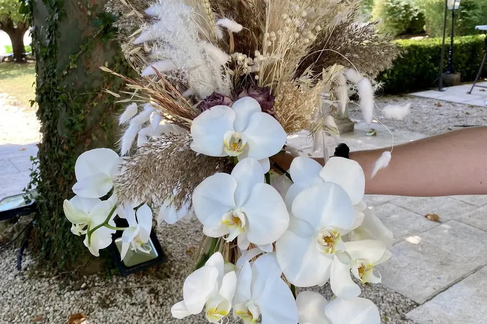 Passion florale — photo 3