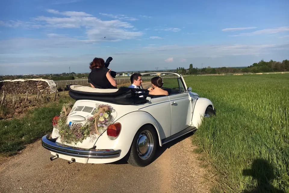 Les Coccinelles en Bourgogne — photo 2