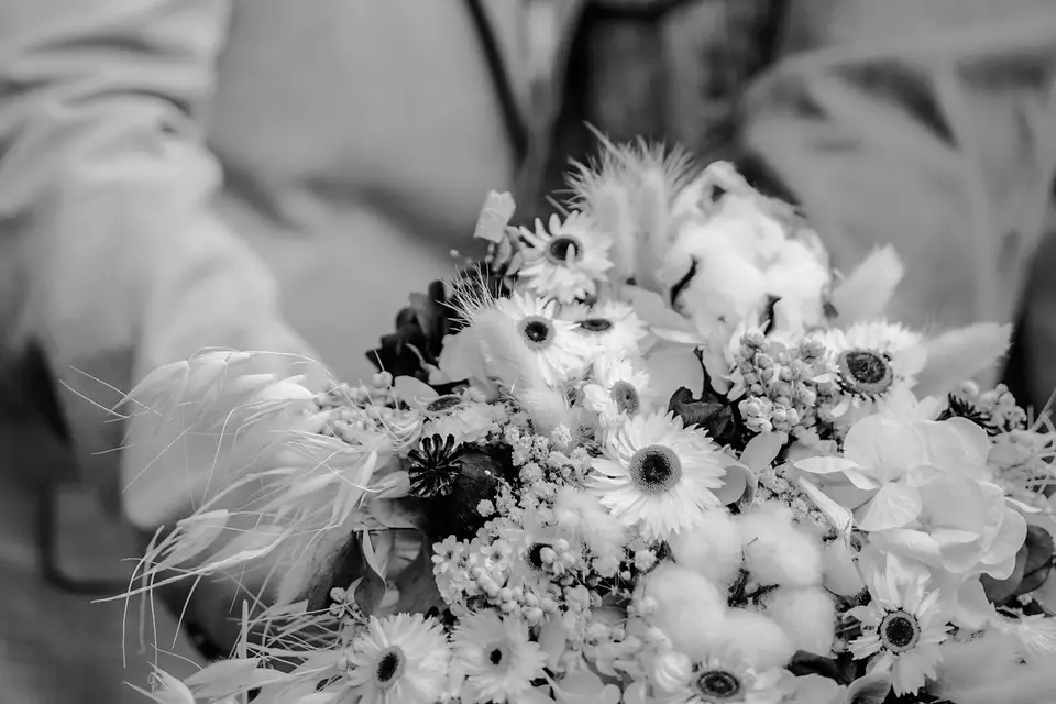 Noelly Photographie — photo 3