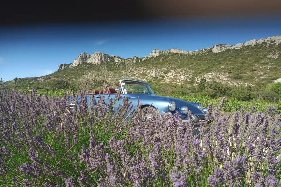 Jean Denis Guigue — photo 1