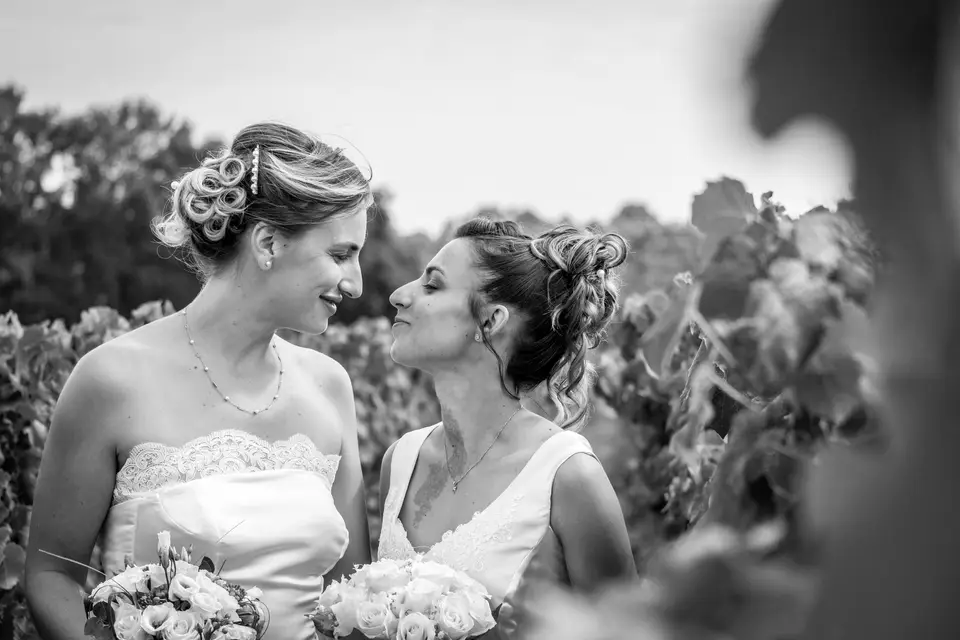 AQUIPIXEL — photo 8