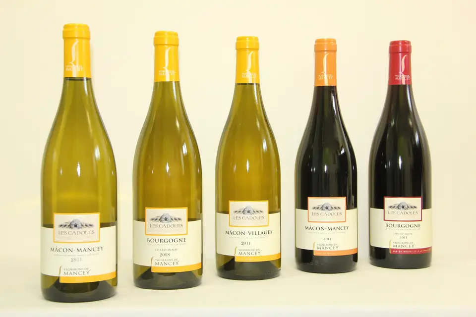 Les Vignerons de Mancey — photo 3